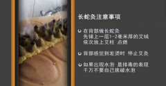 20160807家政女皇视频和笔记:陈允斌,长蛇灸,黄芪粥,粉蒸扁豆