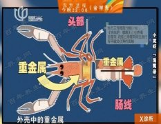 20160817X诊所视频和笔记:高键,为小龙虾正名,横纹肌溶解,哈夫病