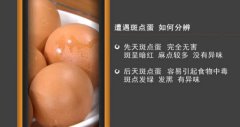 20160824家政女皇视频和笔记:王旭峰,长斑鸡蛋不能吃,鱼香烘蛋