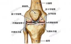 20160830X诊所视频和笔记:沈周,膝盖损伤,如何保护膝盖,睡姿