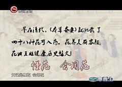 20161009ǿƵͱʼ:,ϻ,,,ս