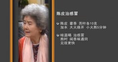 20161017家政女皇视频和笔记:吴大真,陈皮,陈皮鲫鱼的制作方法