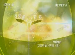20161023֮·Ƶͱʼ:Ӣ,ӻ,Ȳ,,Ļ