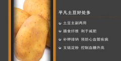 20161107家政女皇视频和笔记:吴大真,土豆的营养价值,冬瓜炖腐皮
