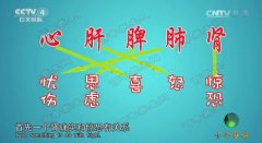 20161030中华医药视频和笔记:魏玮,陈胜良,双花茶,情志,肠脑
