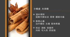 20161122家政女皇视频和笔记:陈允斌,桂皮苹果茶,桂香土豆红烧肉