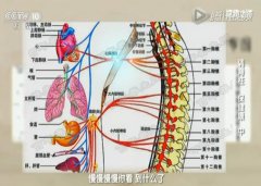 20161224健康之路视频和笔记:刘长信,见国繁,颈椎病,心绞痛