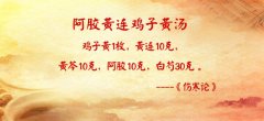 20170108养生堂视频和笔记:魏玮,心肾不交,肝肾阴虚,石斛夜光丸