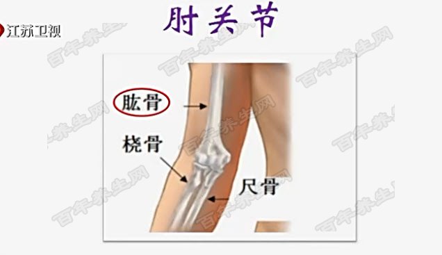 肘关节