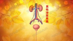 20170112养生堂视频和笔记:郭应禄,李学松,肾结石,尿路上皮癌