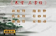 20170214健康北京视频和笔记:刘汶,肾虚,温补肾阳,肾阴虚,肾阳虚