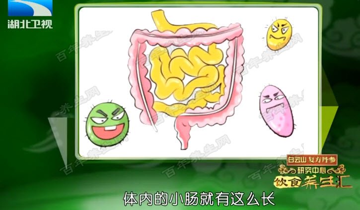 正常的小肠的长度就是五到七米