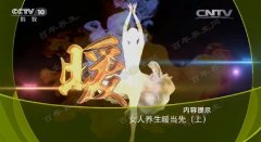 20170307健康之路视频和笔记:吴向红,补阳,锁阳暖身茶,醋泡姜