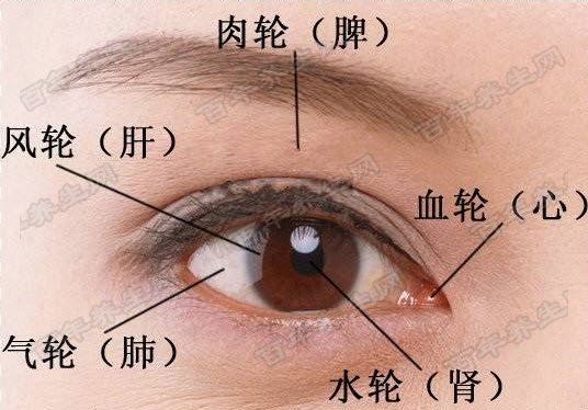 五轮学说