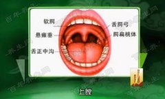 20170324饮食养生汇视频和笔记:赵骞,小儿扁桃体炎,蜂蜜柚子茶