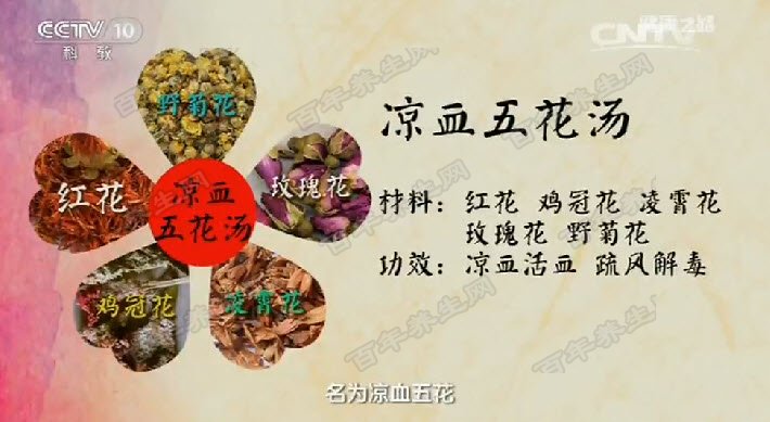 凉血五花汤