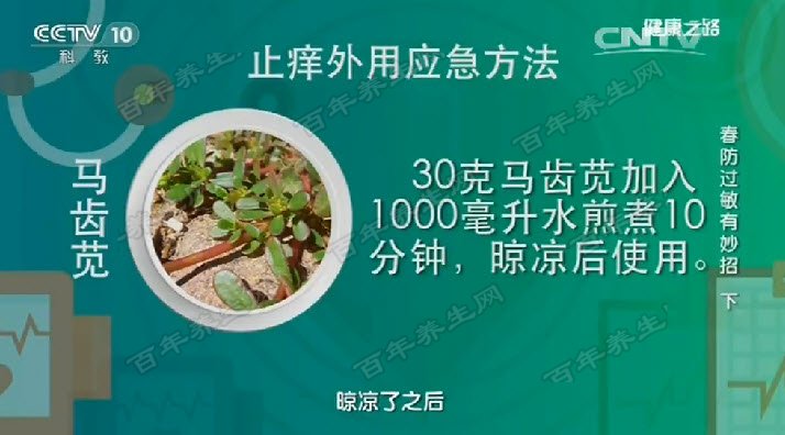 马齿苋外洗方