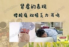 20170502饮食养生汇视频和笔记:王小沙,肾阳虚,肾阴虚,干烧栗子鸡