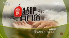 20170519健康之路视频和笔记:孙敬青,胃火,肥胖,减肥,埋耳豆,拔罐