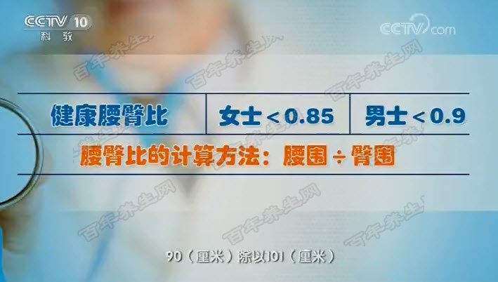 腰臀比