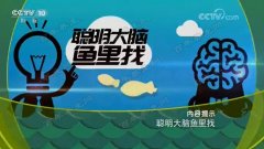 20170818健康之路视频和笔记:范志红,DHA,EPA,鲈鱼,秋刀鱼,三文鱼