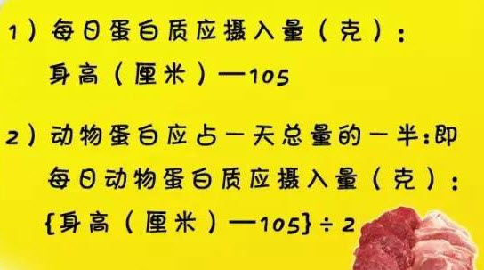 蛋白质摄入量计算方式
