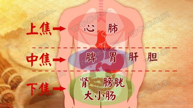 20170925养生堂视频和笔记:饶旺福,于振宣,通调水道补