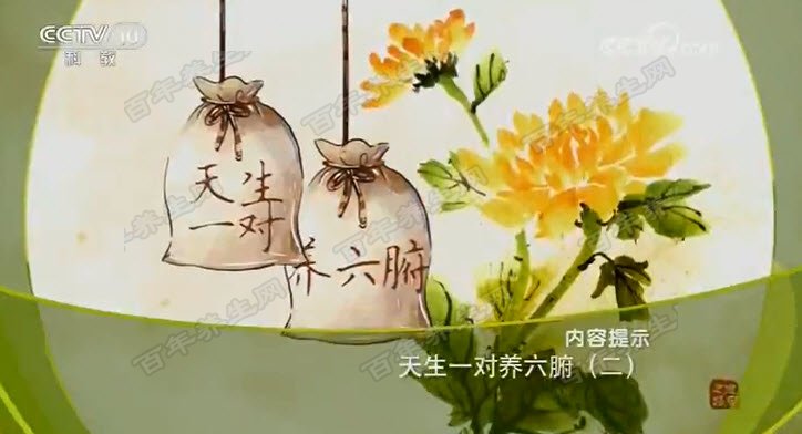 天生一对养六腑