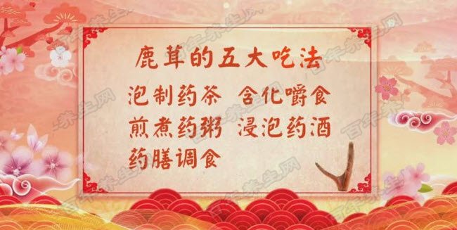 鹿茸的吃法