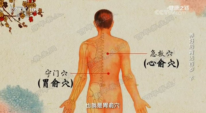 养好后背活百岁