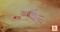 20171201养生堂视频和笔记:赵百孝,神道穴,神门穴,四神聪穴