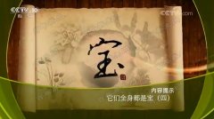 20171204健康之路视频和笔记:钱会南,桑枝,桑葚,桑白皮,桑葚酒