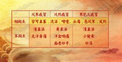 20171223养生堂视频和笔记:王成祥,崔红生,痰热,寒包火,风邪,热邪