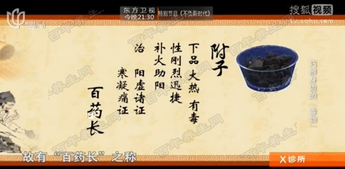附子