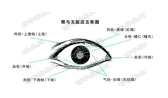 20180115万家灯火视频和笔记:胡智海,目诊,五轮学说,眼疲劳