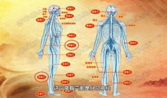 20180128养生堂视频和笔记:王文远,王晓辉,针灸,肩周炎,一针疗法