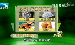 20180620饮食养生汇视频和笔记:张文彭,药用真菌,紫苏煎黄瓜