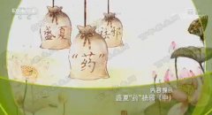 20180721健康之路视频和笔记:曹炜,暑邪,火邪,湿邪,银甘凉茶