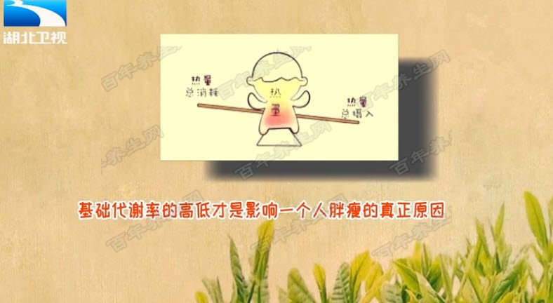基础代谢率