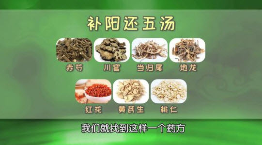 补阳还五汤