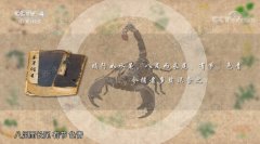 20181208中华医药视频和笔记:刘兴志,蝎子,水蛭,血栓,蜈蚣(重播)