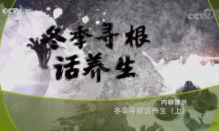 20190126健康之路视频和笔记:孙伟,茭白,荸荠,莲藕,荸荠雪梨饮