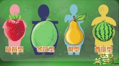 20190226饮食养生汇视频和笔记:胡东鹏,易胖体质,金汤海鲜烩冬瓜