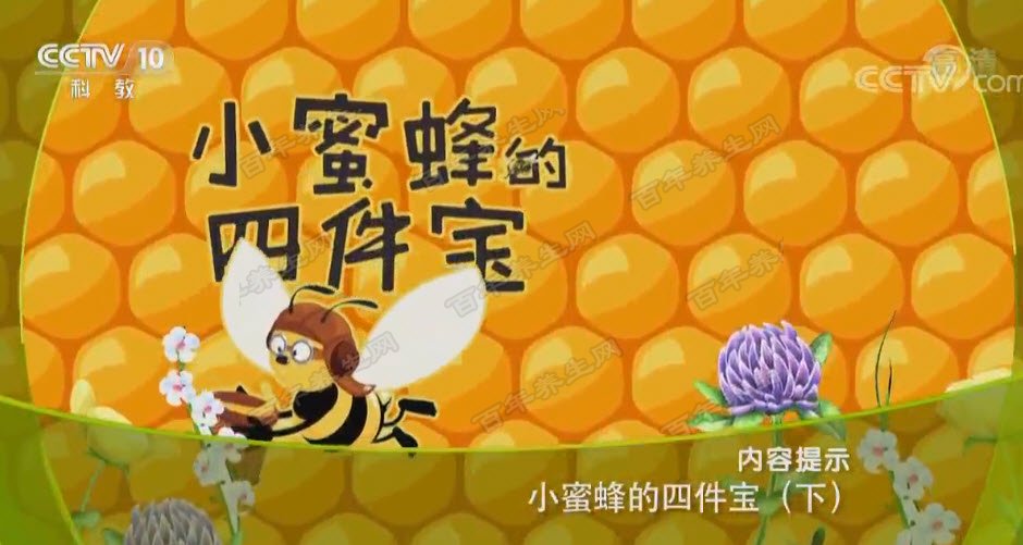 小蜜蜂的四件宝