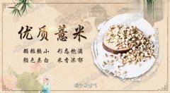 20190309健康之路视频和笔记:徐雅,张媛,黄芪猪骨汤,香菇薏米粥