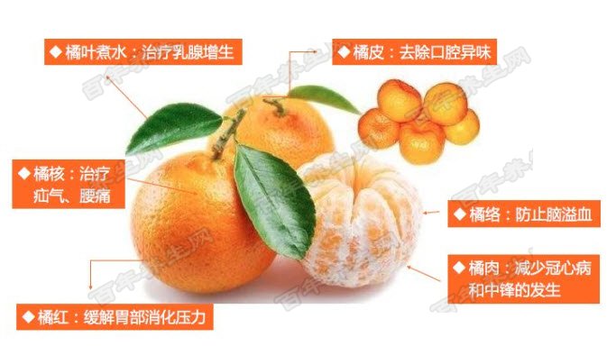 橘子全身都是宝