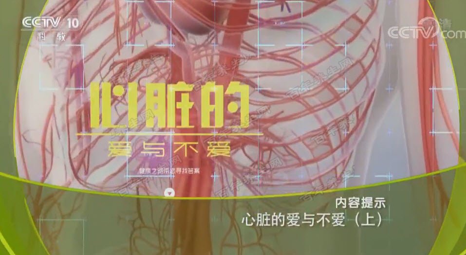 心脏的爱与不爱