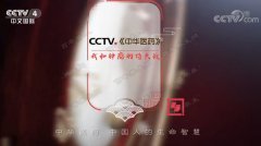 20190413中华医药视频和笔记:刘鲁明,带瘤生存,我和肿瘤的持久战