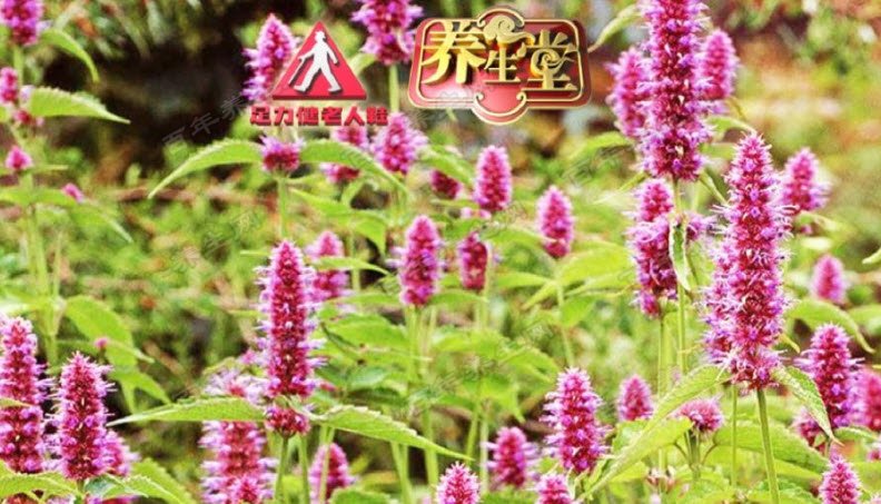 外治祛疾有妙法