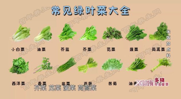 绿叶菜大全